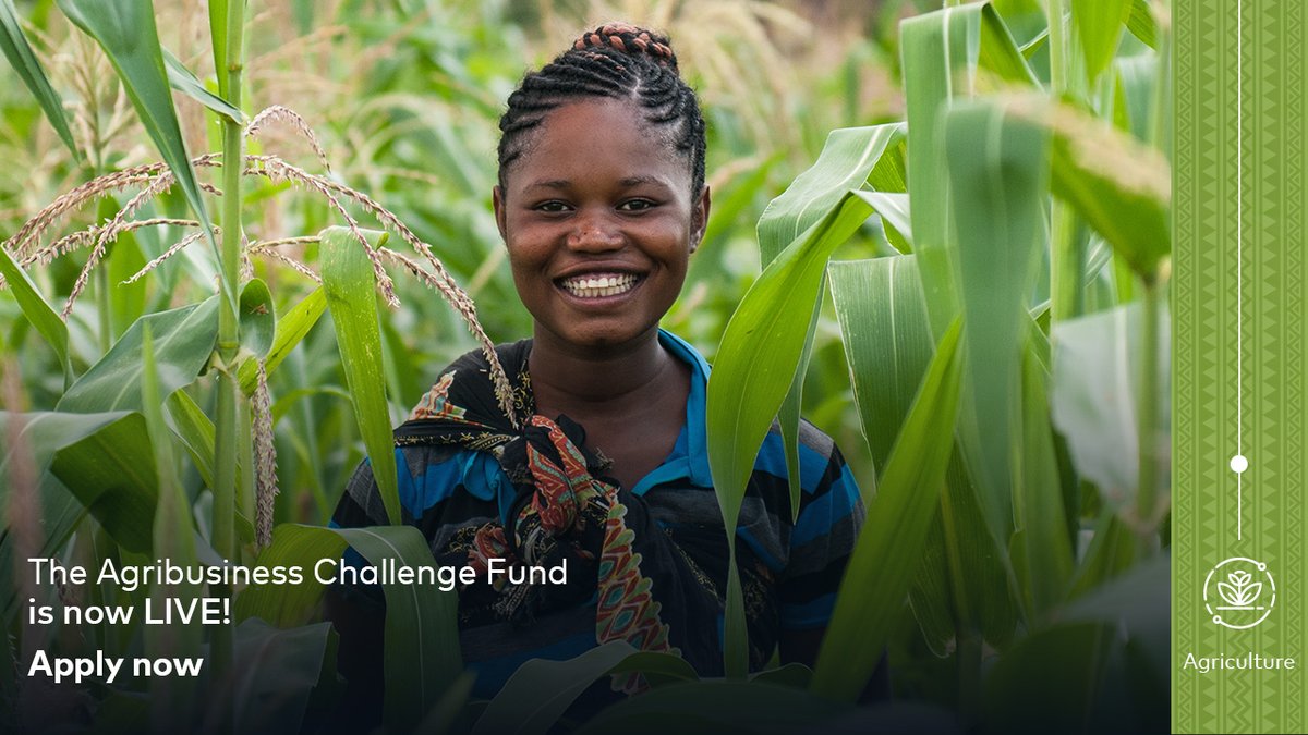 mastercards-agribusiness-challenge-fund-2024