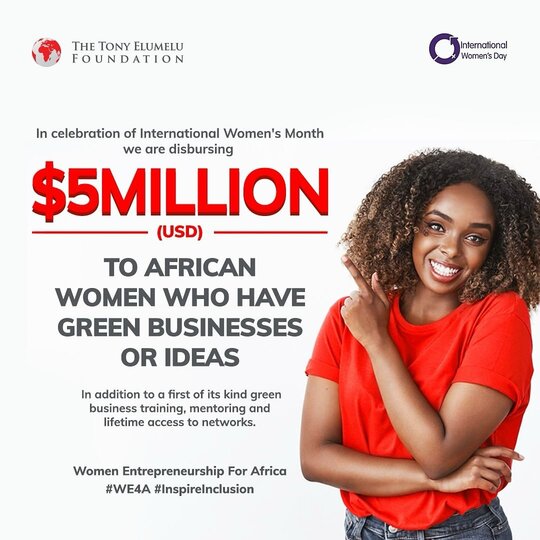  La Fondation Tony Elumelu (TEF) “Women Entrepreneurship for Africa” (WE4A)